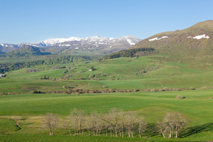Réparation Dégât des Eaux Cournon-d'Auvergne
